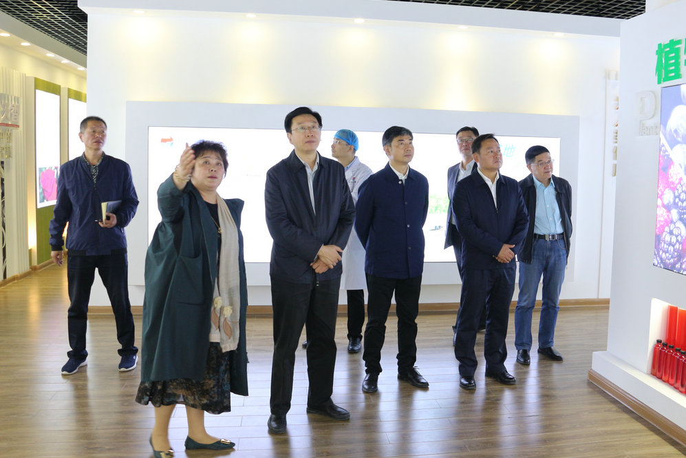 2020年11月2日省政府食安辦副主任，省市場(chǎng)監(jiān)督管理局副局長(zhǎng)王建防到公司調(diào)研指導(dǎo)工作.JPG